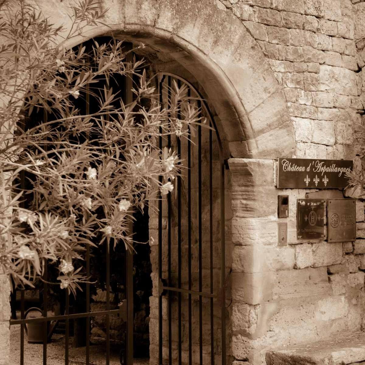 Hotel Chateau D'arpaillargues - Teritoria 4*